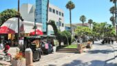 Everything You Need for a Day in LA