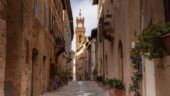 Thank you for a wonderful journey through Tuscany