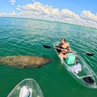 Stand Up Paddleboarding