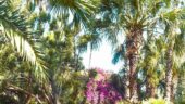Colourful, vibrant and relaxing