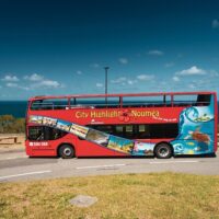 Luxury Tours