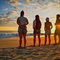 Private & Custom Tours