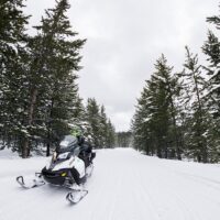 Self-guided Tours & Rentals