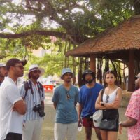 Cultural Tours