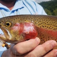 Fishing Charters & Tours