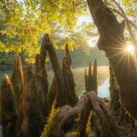Literary, Art & Music Tours