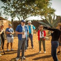 Overnight Tours