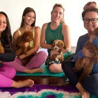 Yoga Classes