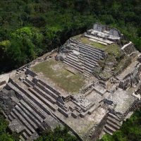 Coffee & Tea Tours