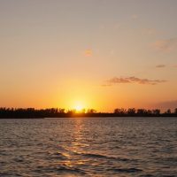 Shore Excursions