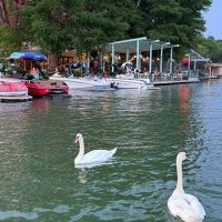 Hop-on Hop-off Tours
