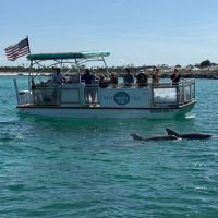 Shore Excursions