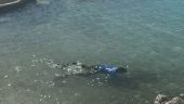 An educational snorkeling experience