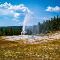 Walking Tours
