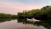Getting in Touch with Mexico's Nature