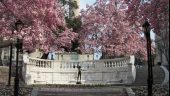 Wonderful Tour