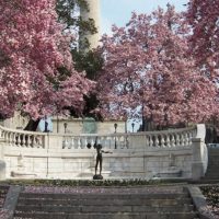 Tours & Sightseeing