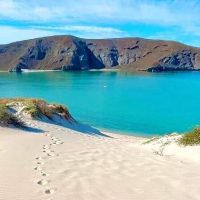 Ports of Call Tours