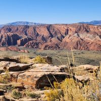 Bus & Minivan Tours