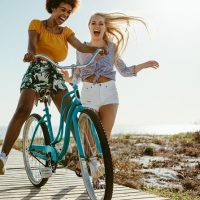 Bike Rentals