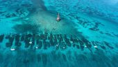 BEST Charter I've Taken in the Keys!