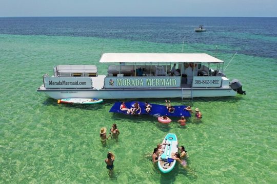 Halloween in Islamorada
