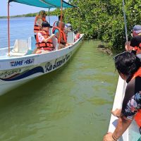 Luxury Tours