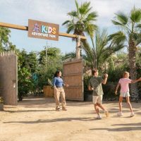 Sightseeing Tickets & Passes