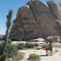 Private & Custom Tours