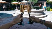 Wine and cheese tour!