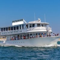 Day Cruises