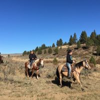 Horseback Riding