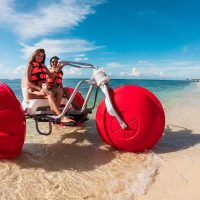 Holiday & Seasonal Tours