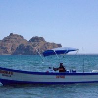 Private Sightseeing Tours