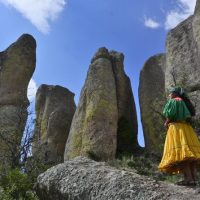 Half-day Tours