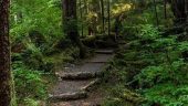 Take a hike tours is a hit!