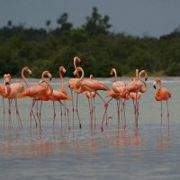 Multi-day & Extended Tours