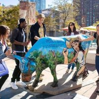 Cultural & Theme Tours