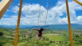 Simple to be a tequila tour