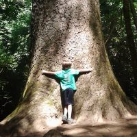 Full-day Tours