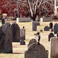 Seasonal Events
