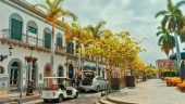 The Best of Mazatlan in an Afternoon
