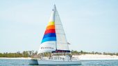 Excellent staff and clean boat. Highly recommend!