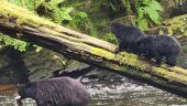 Great nature tour for our family with toddlers and littles!
