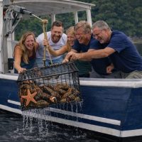 Fishing Charters & Tours