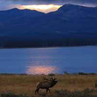Holiday & Seasonal Tours