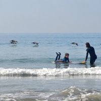 Surfing & Windsurfing