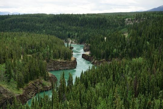 New Year’s Day long weekend in Yukon