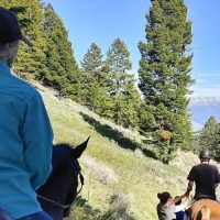 Half-day Tours