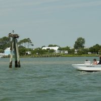 Private Sightseeing Tours